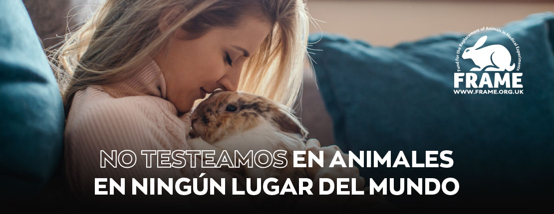 Sostenibilidad 10