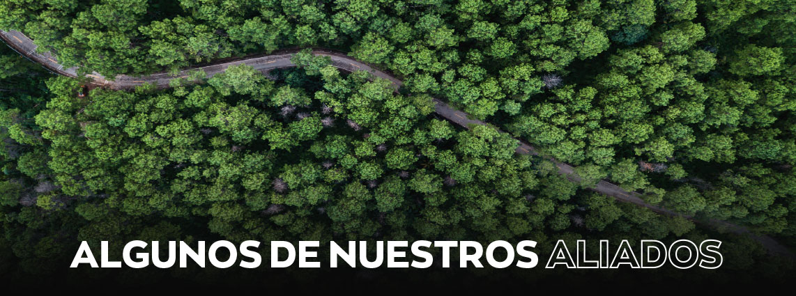 Responsabilidad social 11